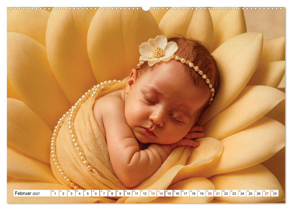 Zauberhaft schlafende Babies - Ruhig und friedlich (CALVENDO Wandkalender 2027)