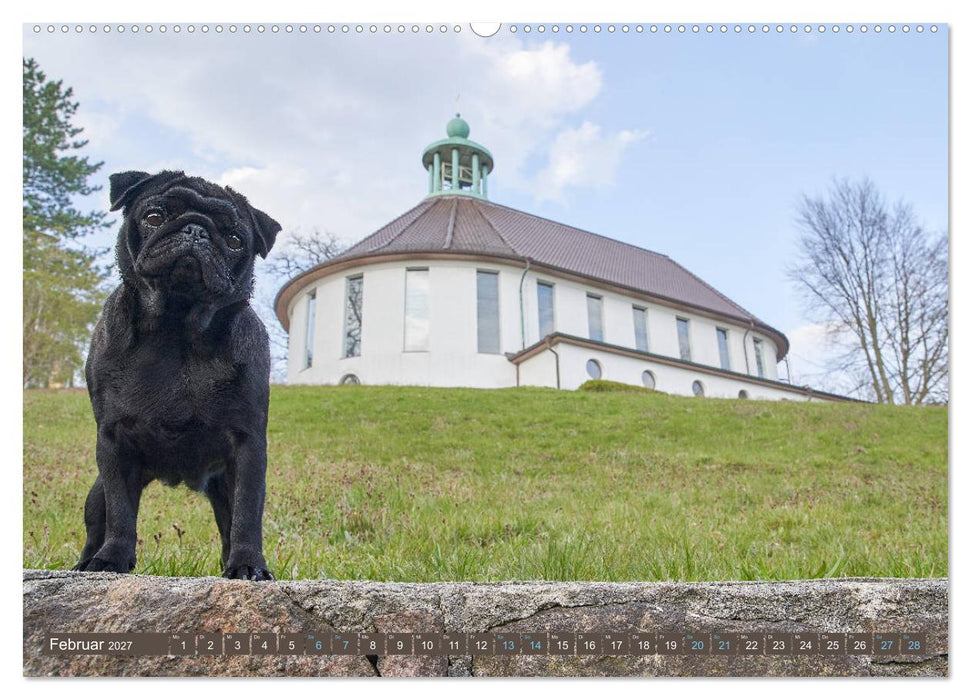 Reinbek mopsfidel (CALVENDO Premium Wandkalender 2027)