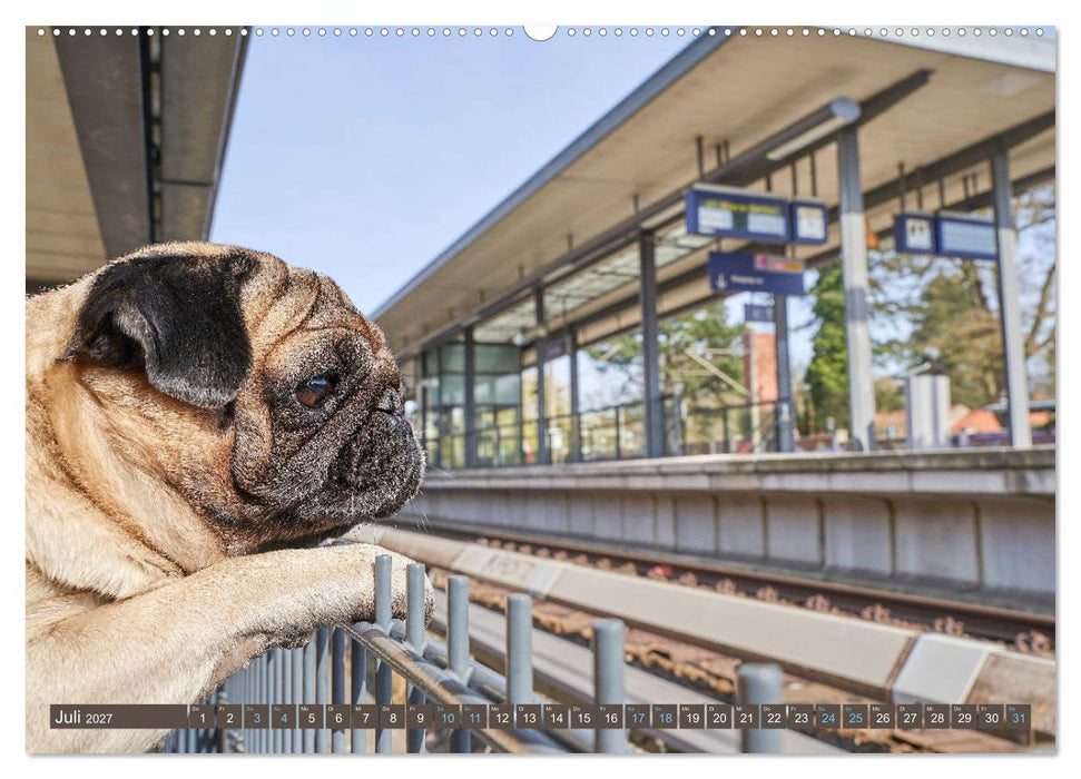 Reinbek mopsfidel (CALVENDO Premium Wandkalender 2027)