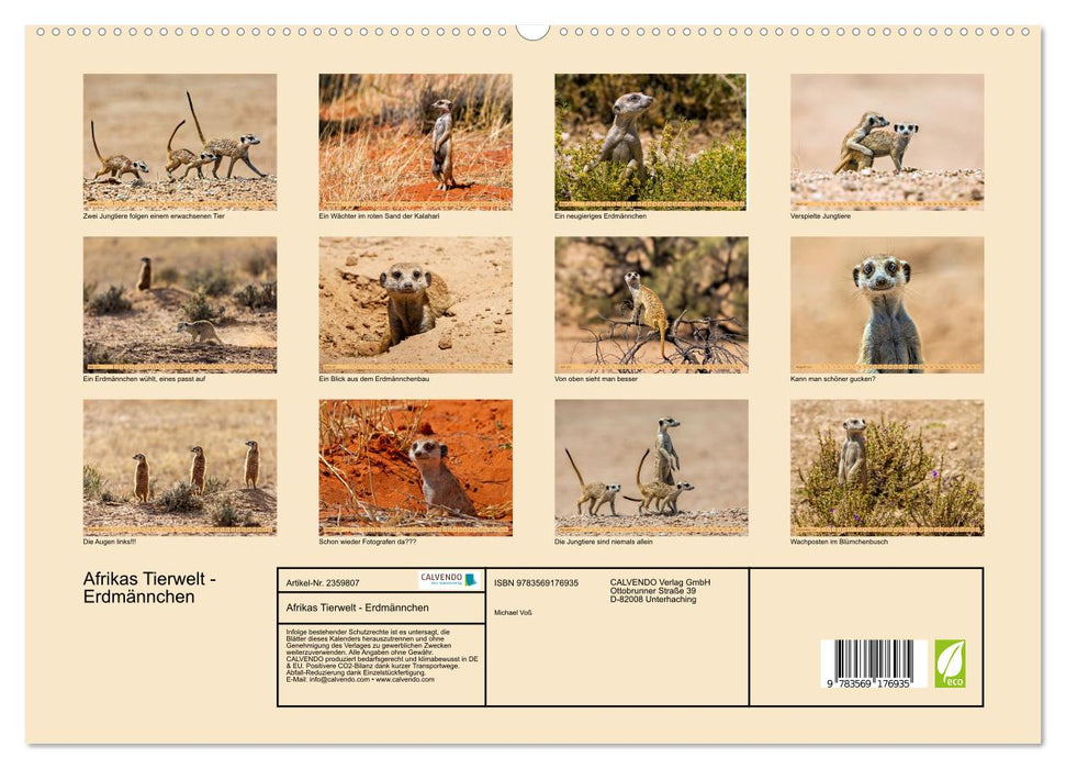 Afrikas Tierwelt - Erdmännchen (CALVENDO Premium Wandkalender 2027)