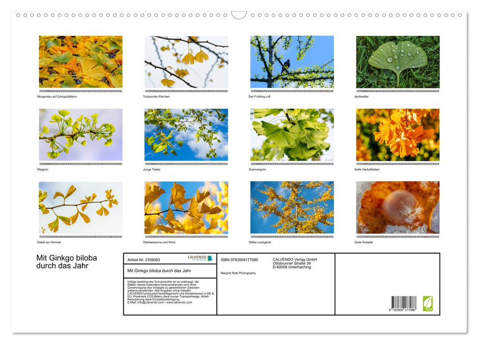 Mit Ginkgo biloba durch das Jahr (CALVENDO Wandkalender 2027)
