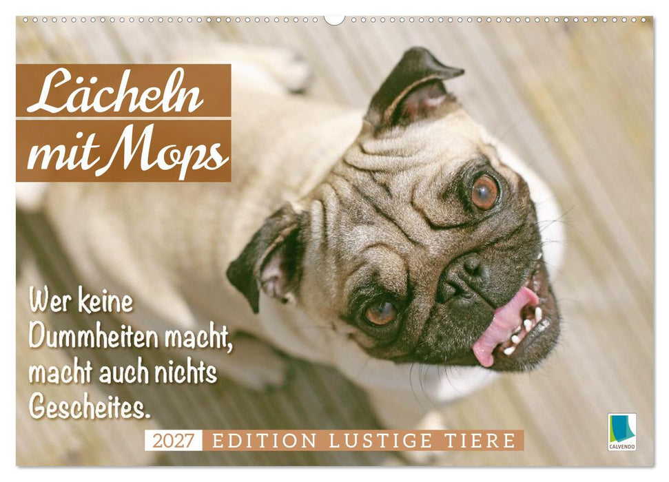 Lächeln mit Mops (CALVENDO Wandkalender 2027)