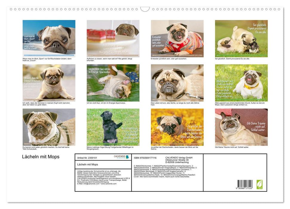 Lächeln mit Mops (CALVENDO Wandkalender 2027)