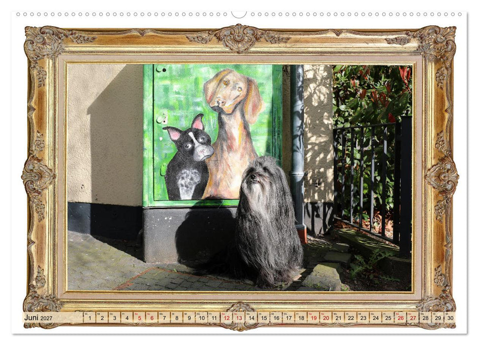 Hunde sind Kunst (CALVENDO Wandkalender 2027)