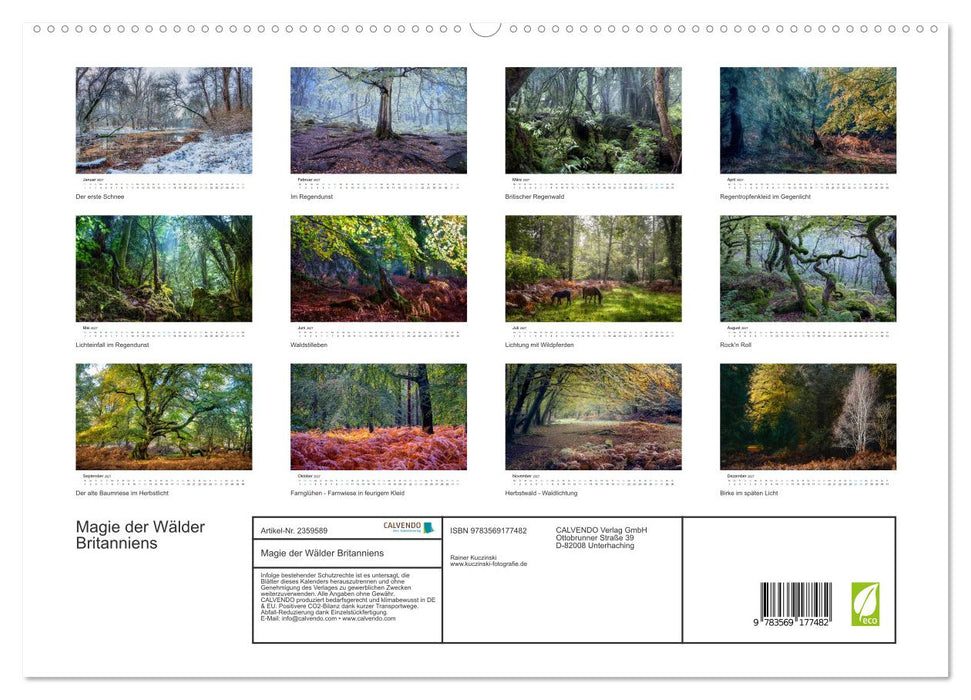 Magie der Wälder Britanniens (CALVENDO Premium Wandkalender 2027)
