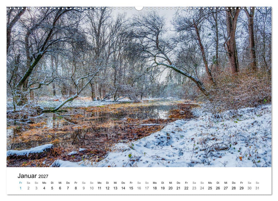 Magie der Wälder Britanniens (CALVENDO Premium Wandkalender 2027)