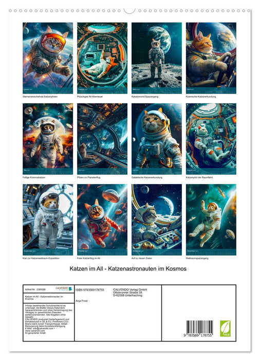 Katzen im All - Katzenastronauten im Kosmos (CALVENDO Premium Wandkalender 2027)