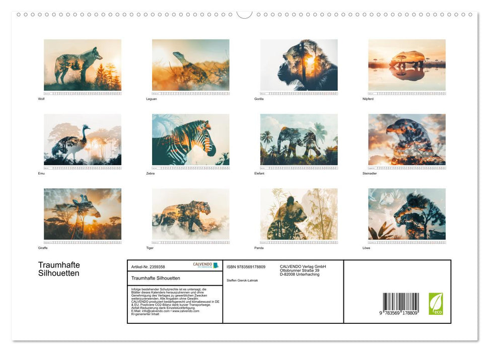 Traumhafte Silhouetten (CALVENDO Premium Wandkalender 2027)
