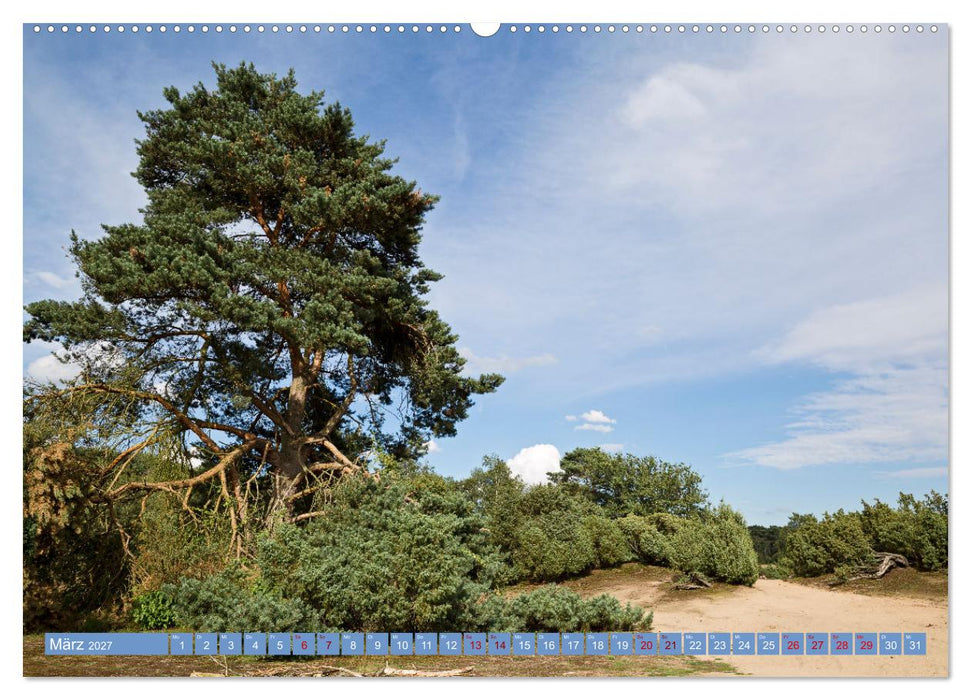 Haltern am See (CALVENDO Premium Wandkalender 2027)