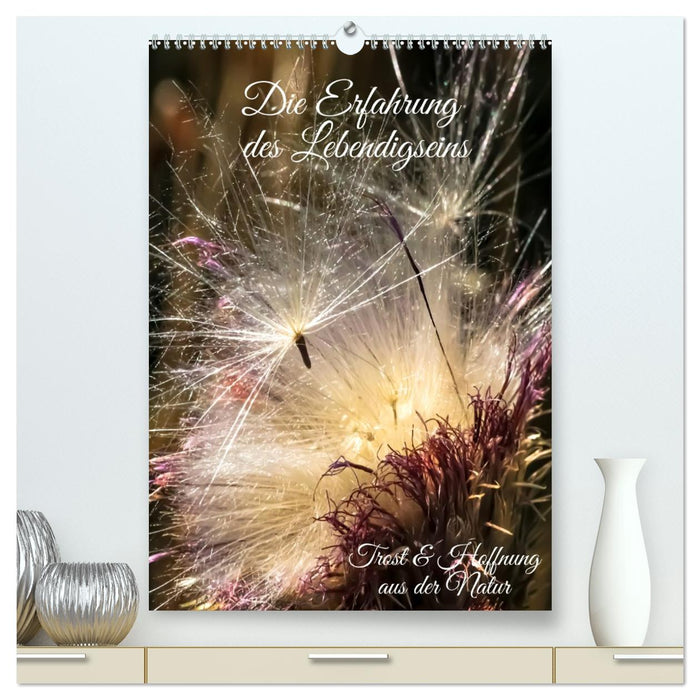 Die Erfahrung des Lebendigseins (CALVENDO Premium Wandkalender 2027)