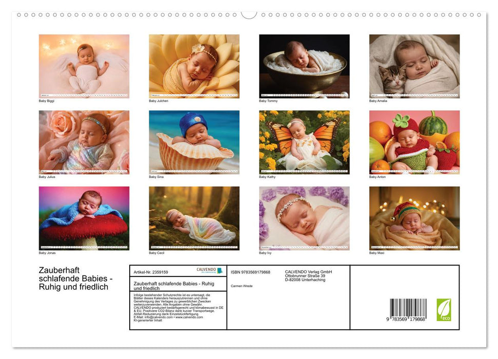 Zauberhaft schlafende Babies - Ruhig und friedlich (CALVENDO Premium Wandkalender 2027)
