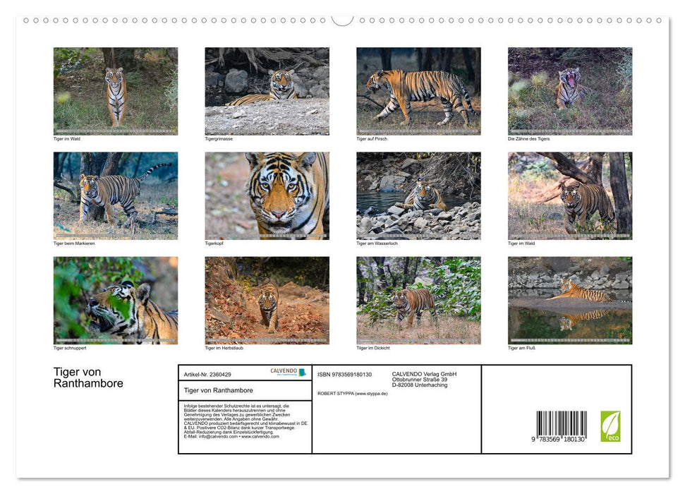 Tiger von Ranthambore (CALVENDO Premium Wandkalender 2027)