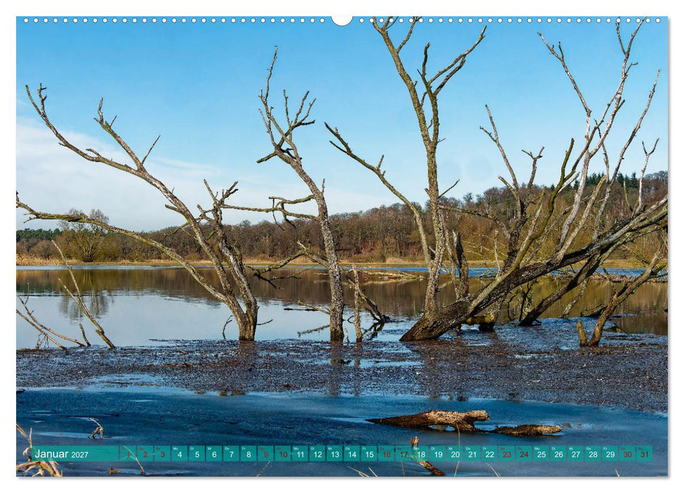 Flusslandschaft Elbe (CALVENDO Wandkalender 2027)