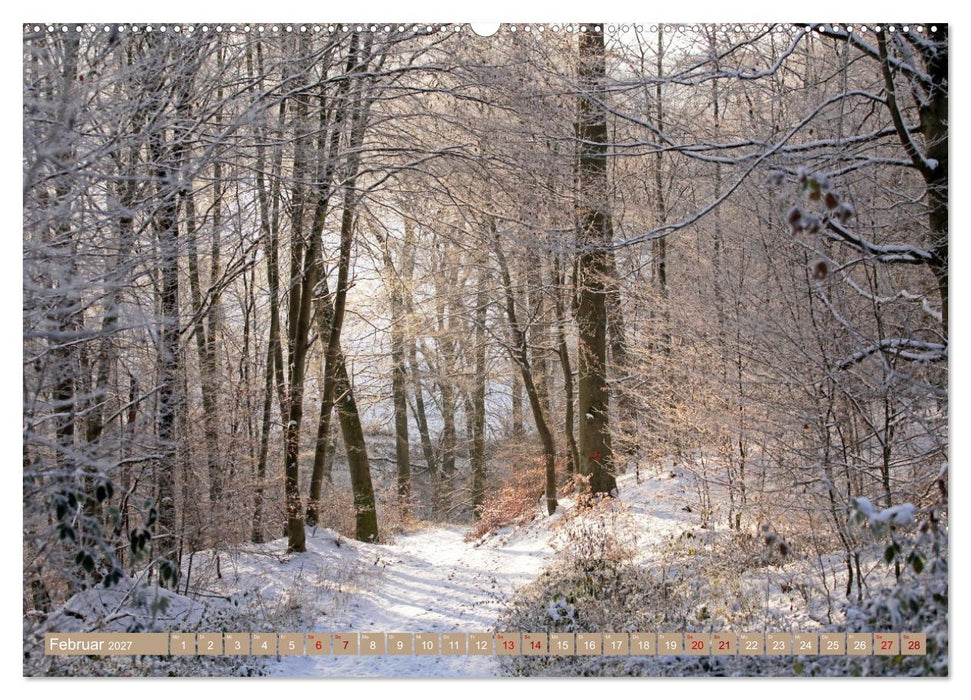 Der Wald - Ort der Ruhe und Besinnung (CALVENDO Premium Wandkalender 2027)