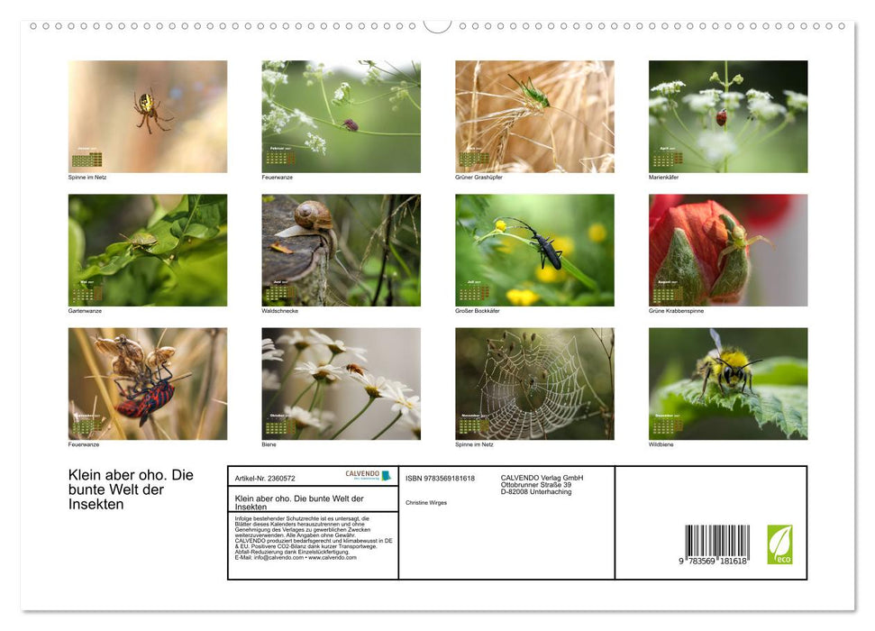Klein aber oho. Die bunte Welt der Insekten (CALVENDO Premium Wandkalender 2027)