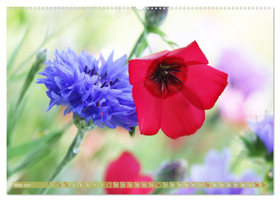 A Flower Festival (CALVENDO Monthly Calendar 2027)