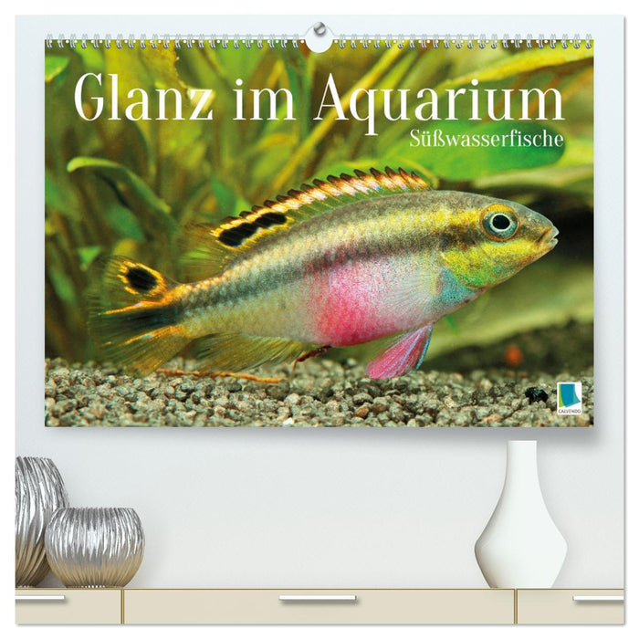 Glanz im Aquarium: Süßwasserfische (CALVENDO Premium Wandkalender 2027)