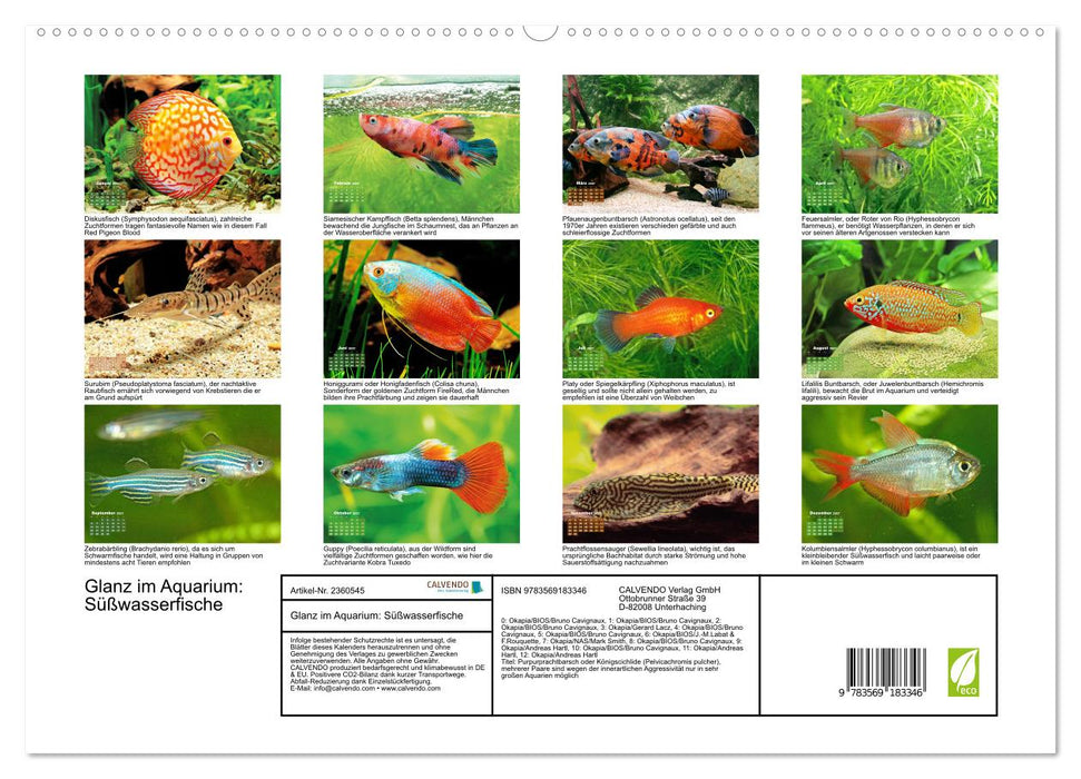 Glanz im Aquarium: Süßwasserfische (CALVENDO Premium Wandkalender 2027)
