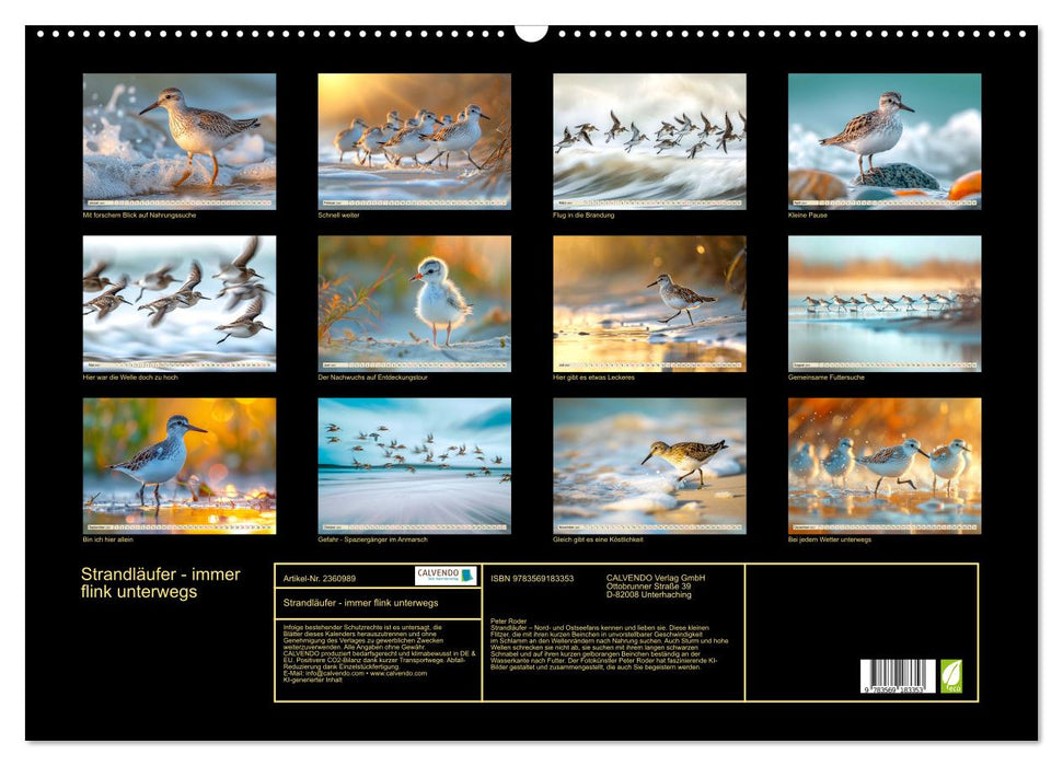 Strandläufer - immer flink unterwegs (CALVENDO Wandkalender 2027)