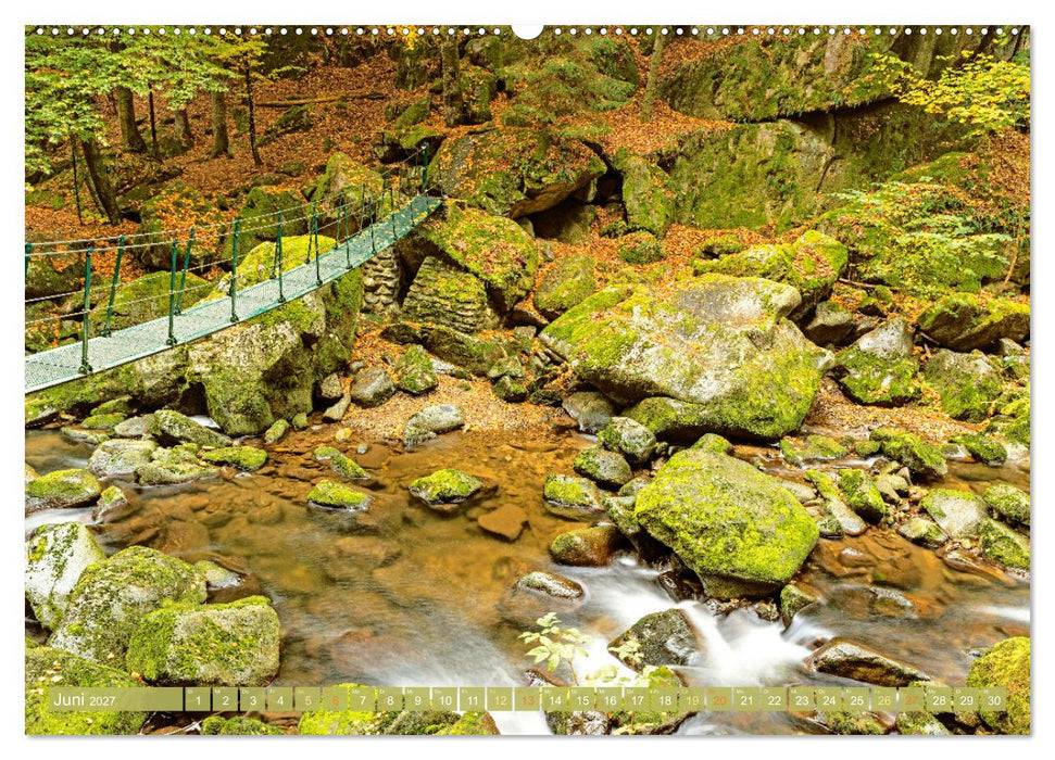 Arber, Rachel und Lusen: Der Hintere Bayerische Wald (CALVENDO Premium Wandkalender 2027)