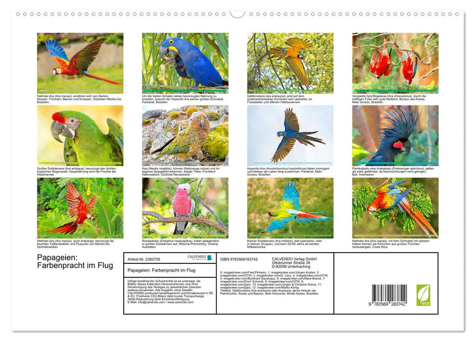 Papageien: Farbenpracht im Flug (CALVENDO Premium Wandkalender 2027)