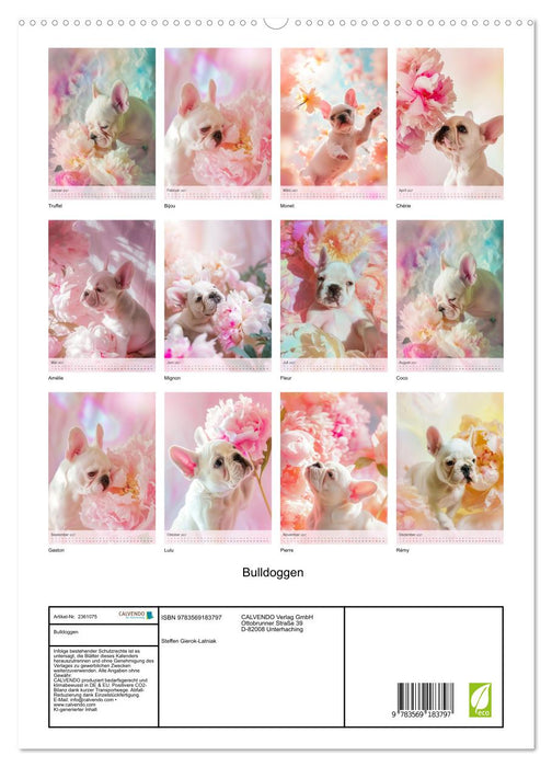Bulldoggen (CALVENDO Premium Wandkalender 2027)