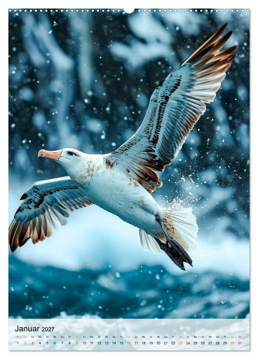 Vögel - Künstler im Flug (CALVENDO Premium Wandkalender 2027)
