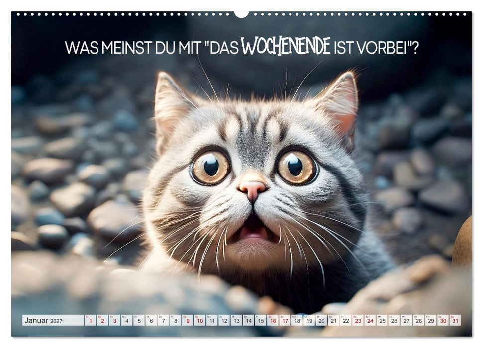 KATZEN-IRONIE Lach mal wieder (CALVENDO Wandkalender 2027)
