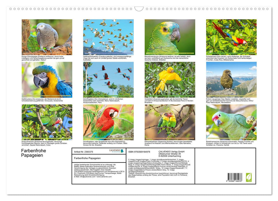 Farbenfrohe Papageien (CALVENDO Wandkalender 2027)