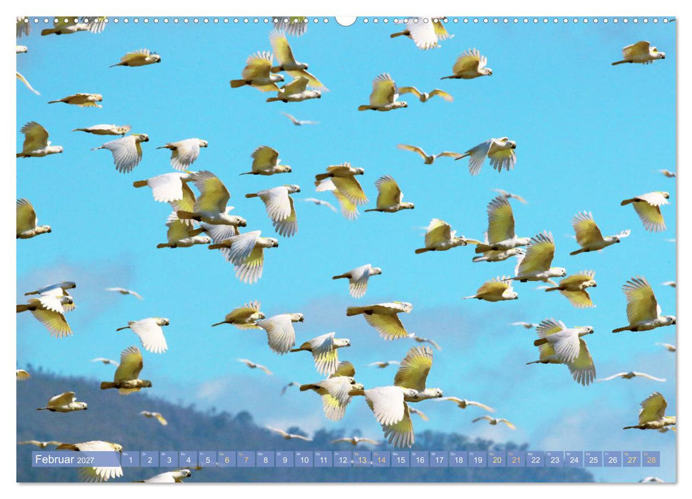 Farbenfrohe Papageien (CALVENDO Wandkalender 2027)