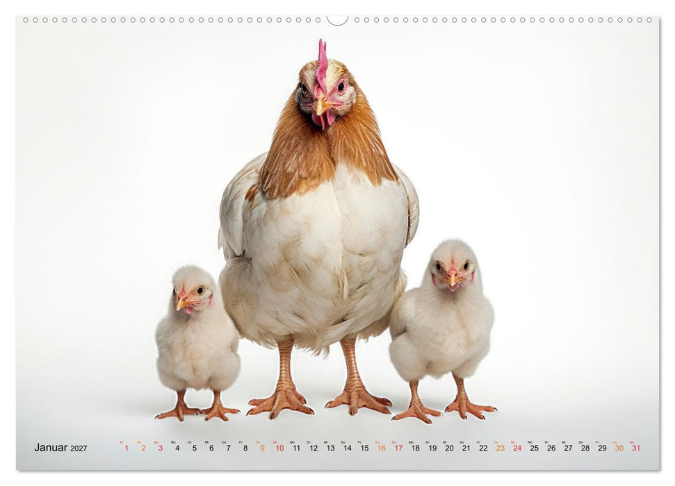 Hühner Alarm (CALVENDO Premium Wandkalender 2027)