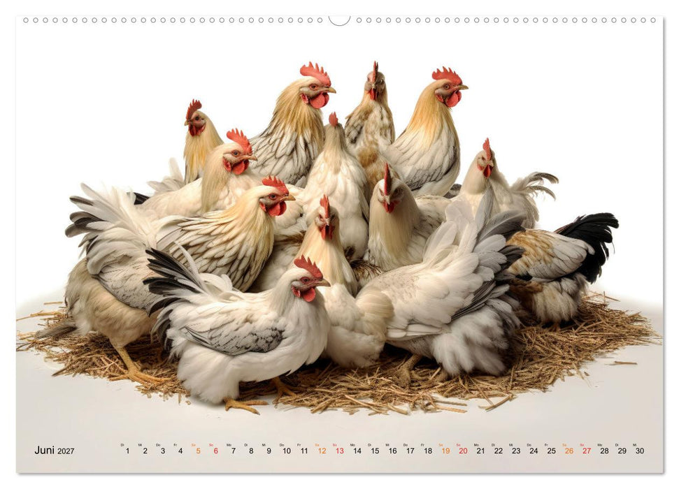 Hühner Alarm (CALVENDO Premium Wandkalender 2027)