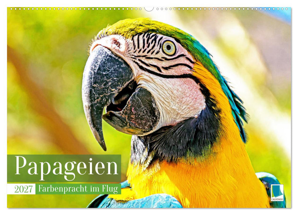 Papageien: Farbenpracht im Flug (CALVENDO Wandkalender 2027)