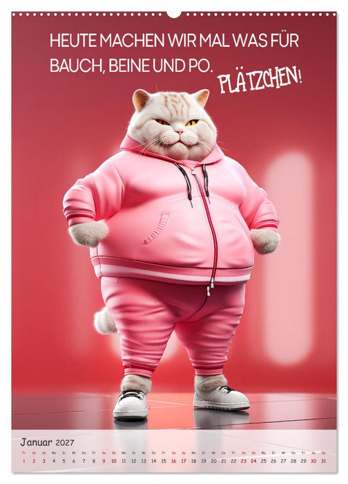 COOLE KATZEN Sprücheklopfer (CALVENDO Premium Wandkalender 2027)