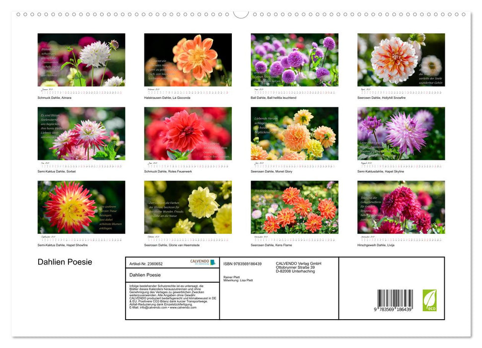 Dahlien Poesie (CALVENDO Premium Wandkalender 2027)