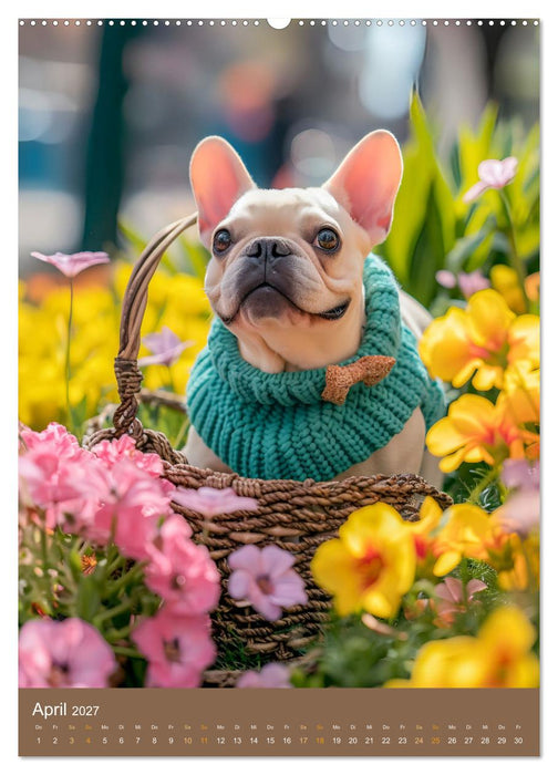 Frenchie Couture - Französische Bulldoggen in Strick-Chic (CALVENDO Premium Wandkalender 2027)