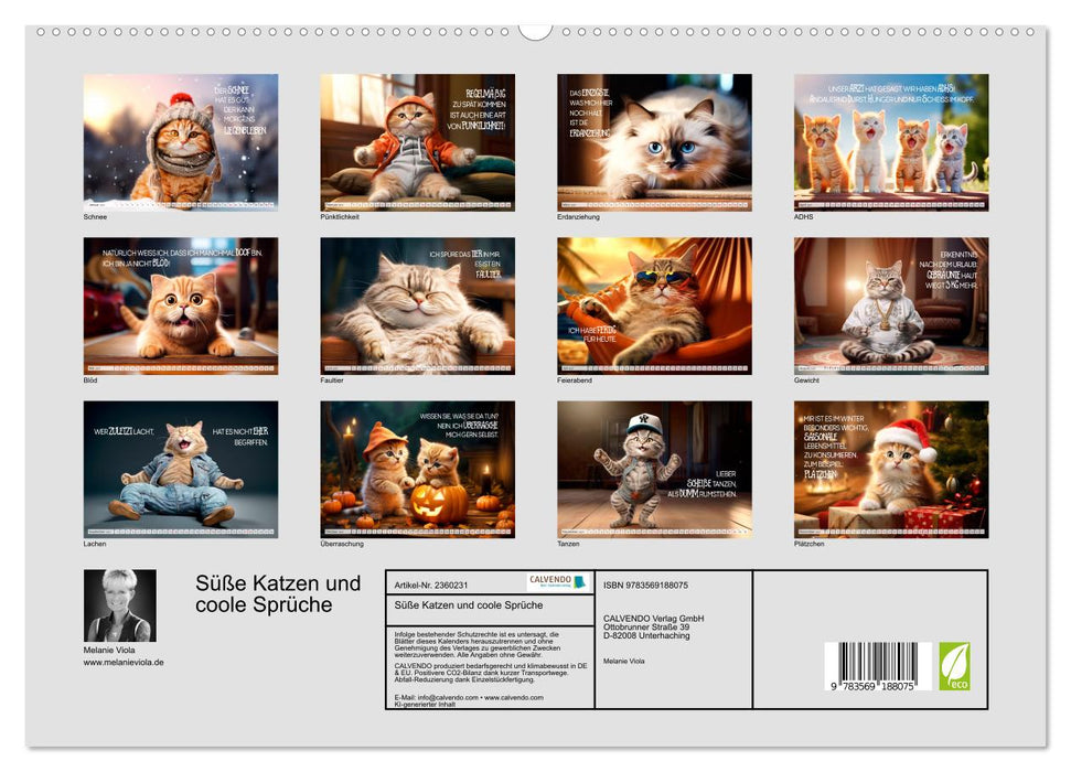 Süße Katzen und coole Sprüche (CALVENDO Premium Wandkalender 2027)