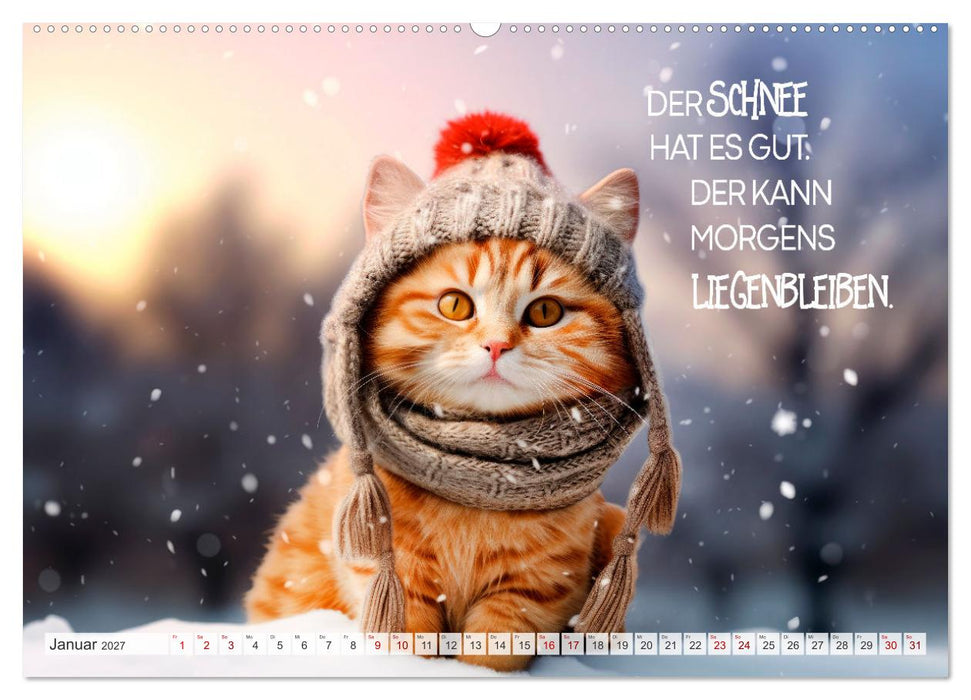 Süße Katzen und coole Sprüche (CALVENDO Premium Wandkalender 2027)