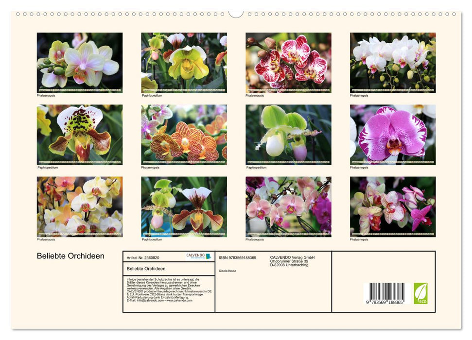 Beliebte Orchideen (CALVENDO Premium Wandkalender 2027)