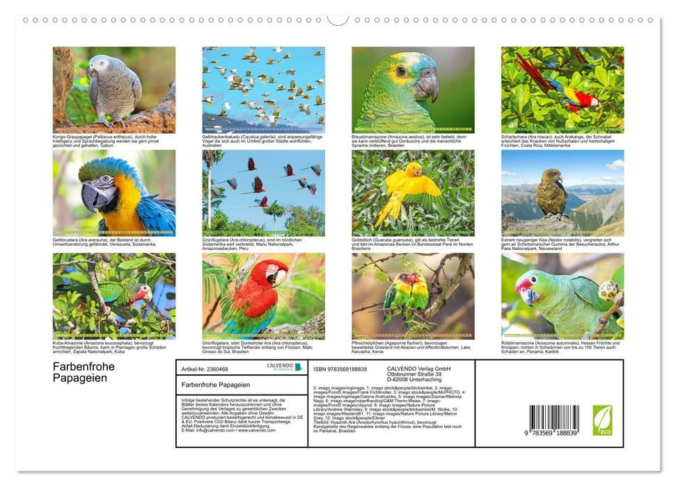 Farbenfrohe Papageien (CALVENDO Premium Wandkalender 2027)