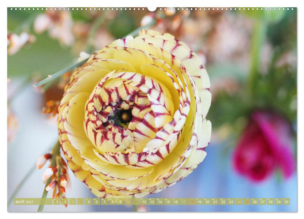 Une fête de fleurs (CALVENDO Calendrier mensuel 2027)