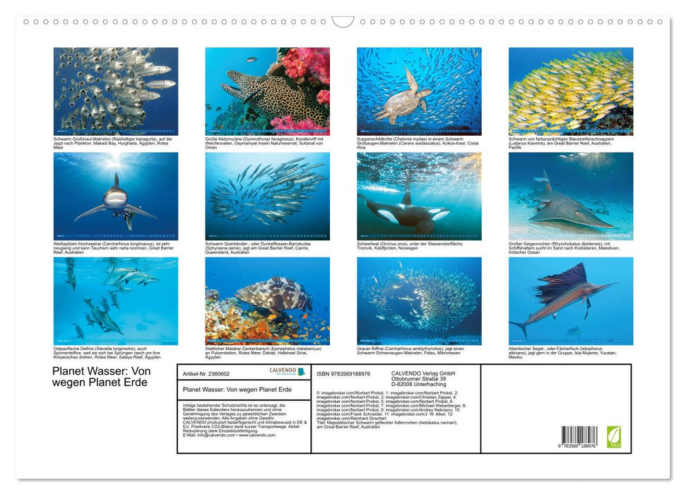 Planet Wasser: Von wegen Planet Erde (CALVENDO Wandkalender 2027)
