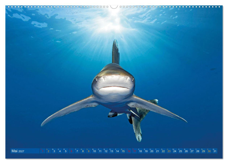 Planet Wasser: Von wegen Planet Erde (CALVENDO Wandkalender 2027)