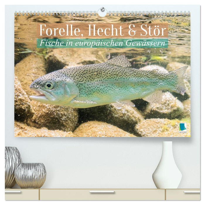 Forelle, Hecht und Stör: Fische in europäischen Gewässern (CALVENDO Premium Wandkalender 2027)