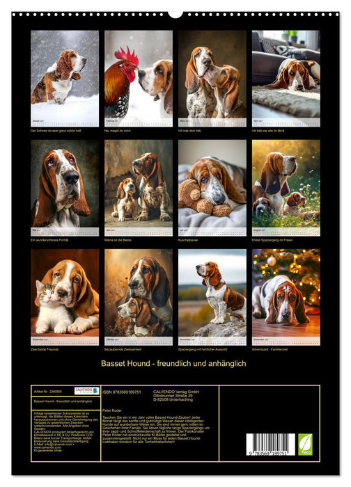 Basset Hound - freundlich und anhänglich (CALVENDO Premium Wandkalender 2027)