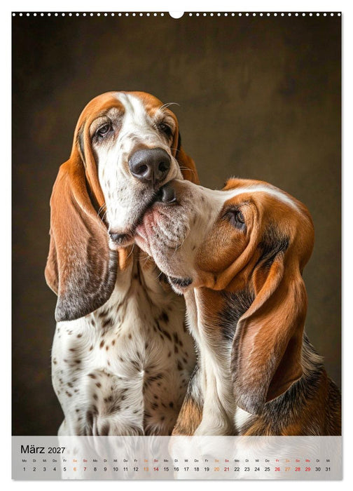 Basset Hound - freundlich und anhänglich (CALVENDO Premium Wandkalender 2027)