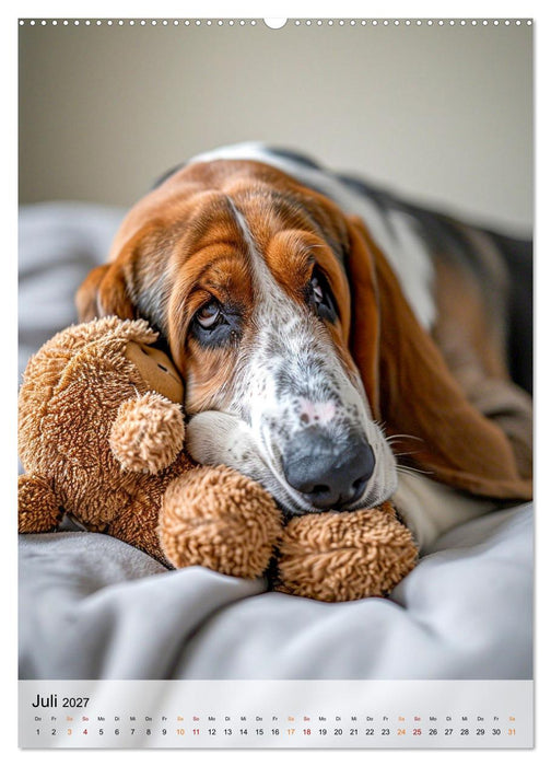 Basset Hound - freundlich und anhänglich (CALVENDO Premium Wandkalender 2027)