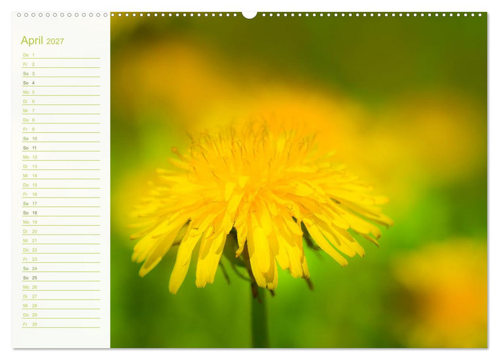 Wenn im Frühling die Natur wieder erwacht (CALVENDO Wandkalender 2027)