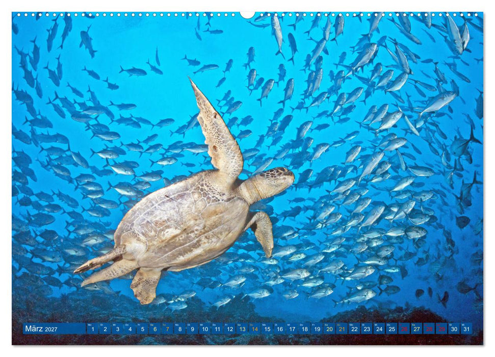 Planet Wasser: Von wegen Planet Erde (CALVENDO Premium Wandkalender 2027)