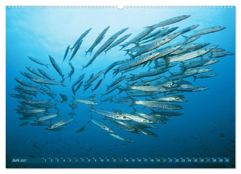 Planet Wasser: Von wegen Planet Erde (CALVENDO Premium Wandkalender 2027)